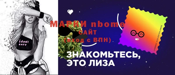 индика Абинск