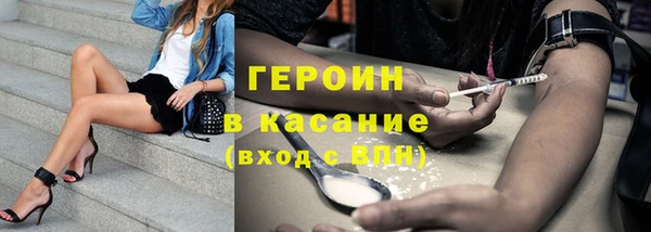 индика Алексин