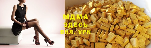 индика Алексин