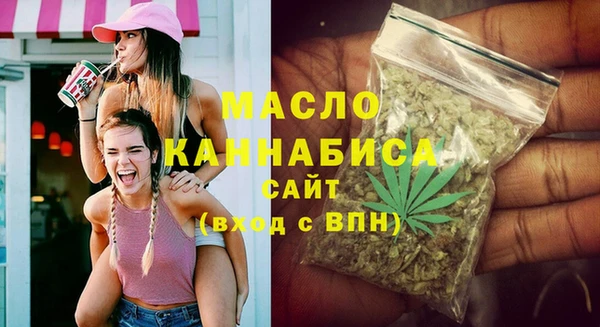 индика Абинск