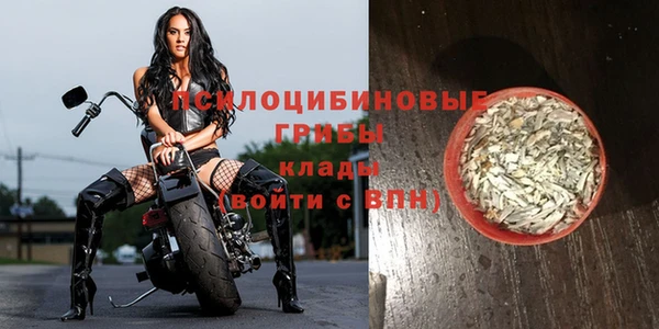 индика Абинск