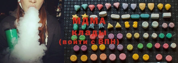 индика Алексин
