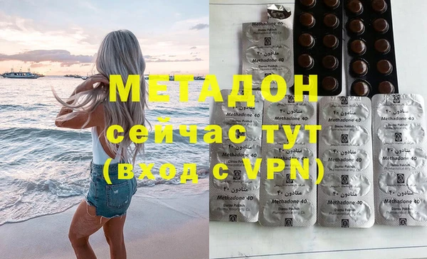индика Алексин