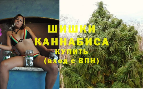индика Абинск